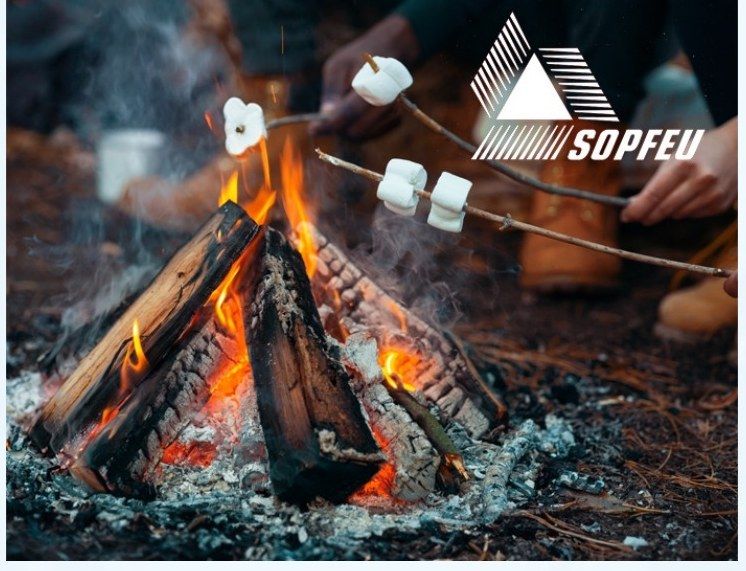 Guimauves grillées au-dessus d'un feu de camp